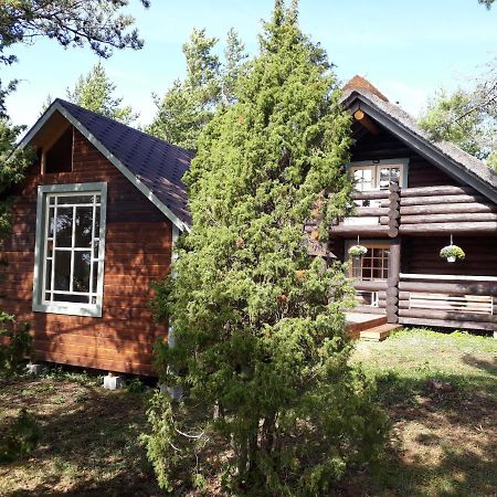 Paehkli Seaside Cottage With Cozy Outdoor Patio Koiguste Екстер'єр фото