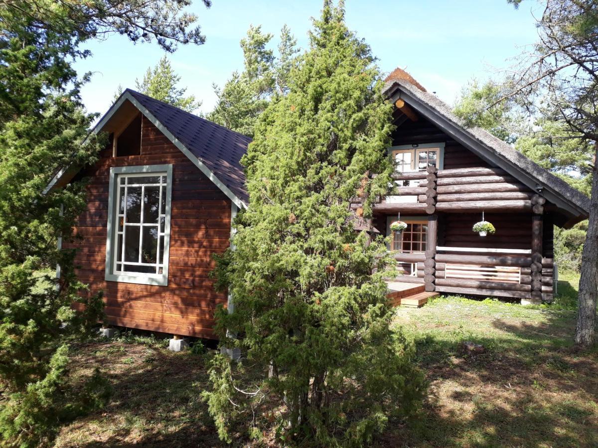Paehkli Seaside Cottage With Cozy Outdoor Patio Koiguste Екстер'єр фото