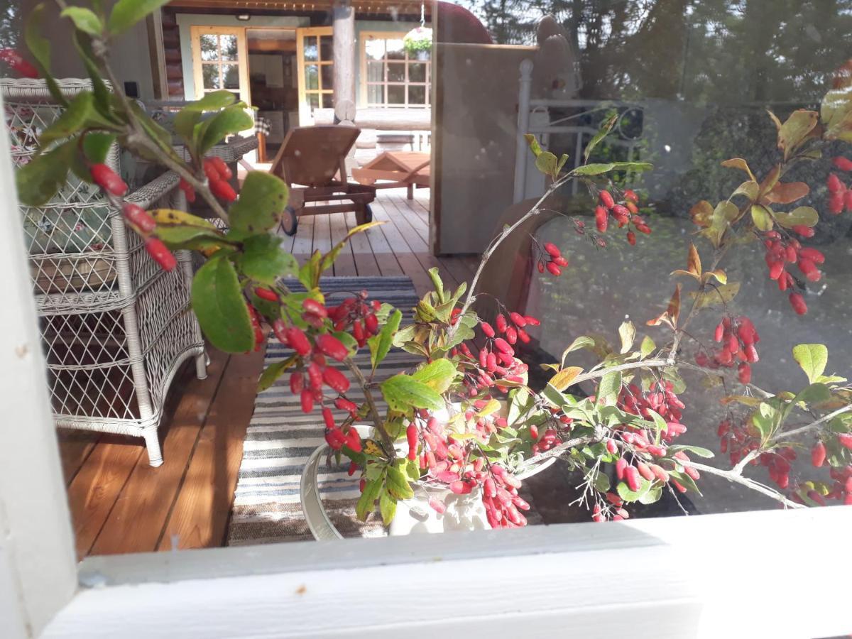 Paehkli Seaside Cottage With Cozy Outdoor Patio Koiguste Екстер'єр фото